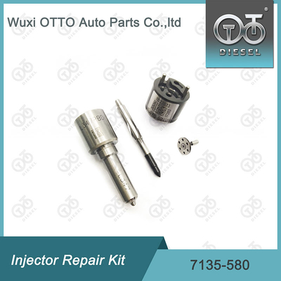 7135-580 Kit de reparación del inyector Delphi para el inyector R00001D